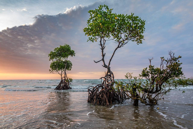 Tempat wisata di Serang. Foto hanyalah ilustrasi, bukan tempat yang sebenarnya. Sumber: Pixabay/Patjosse