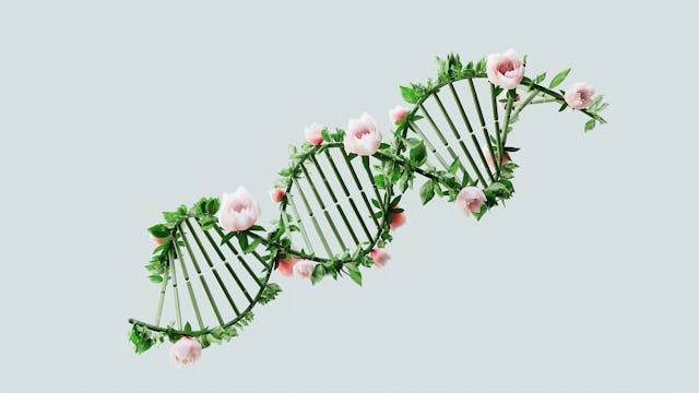 Ilustrasi Perbedaan DNA dan RNA. Sumber: Pexels/Google DeepMind