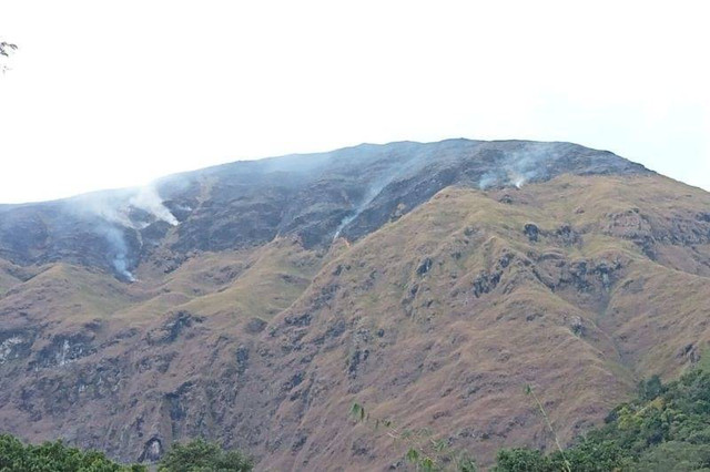 Bukit Anak Dara terbakar di kaki Gunung Rinjani, Kecamatan Sembalun, Kabupaten Lombok Timur, Provinsi NTB. Foto: Riki/HO/Antara