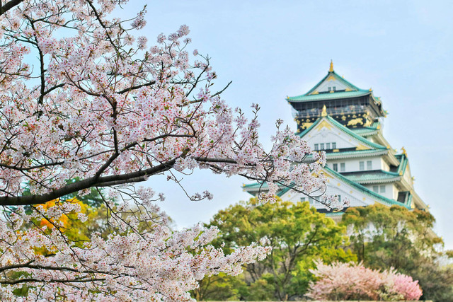 5 Wisata Surabaya seperti Luar Negeri (Foto hanya ilustrasi, bukan tempat sebenarnya) Sumber: pexels/ Bagus Pangestu