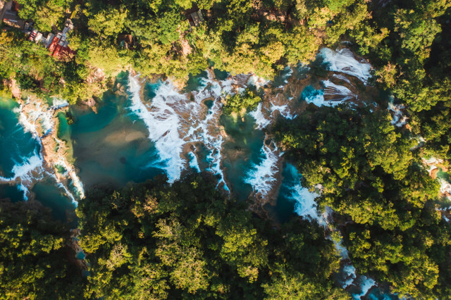 Ilustrasi enduduk Mesir lebih banyak tinggal di sepanjang sungai nil dan delta atau muaranya alasannya adalah, Foto : Pexels/Mikhail Nilov