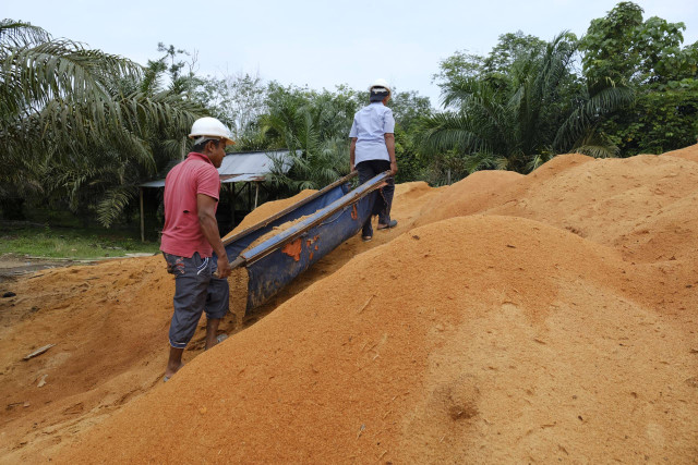 Proses penyediaan sawdust oleh masyarakat yang nantinya digunakan untuk energi primer pengganti batu bara di PLTU Ombilin. Foto: PLN IP 