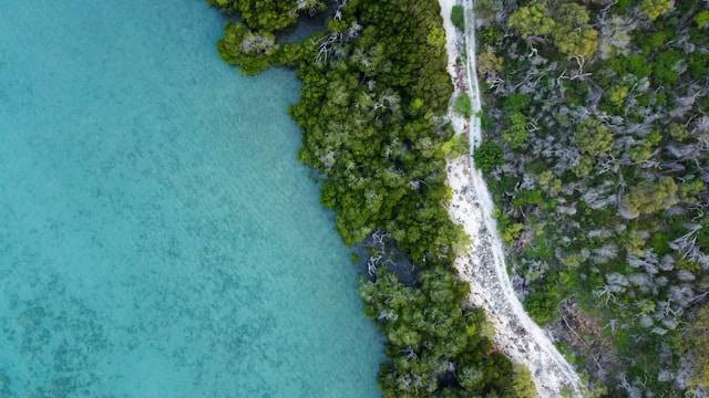 Tempat Wisata di Genuk. Foto hanyalah ilustrasi, bukan tempat sebenarnya. Sumber: unsplash/Joan Li.