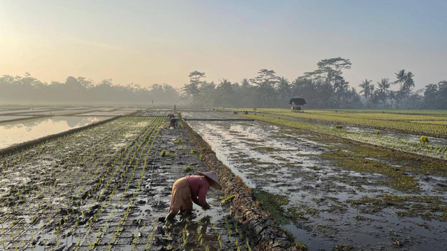 Desa Kemiri. Sumber: Dokumen Pribadi