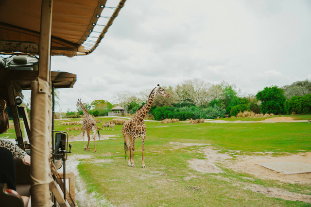 Ilustrasi Ruang Lingkup Biologi. Foto: Unsplash/Nicholas Fuentes