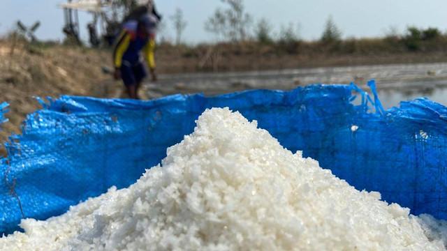 Garam yang baru saja di panen oleh petani di Kabupaten Cirebon. Foto: Istimewa