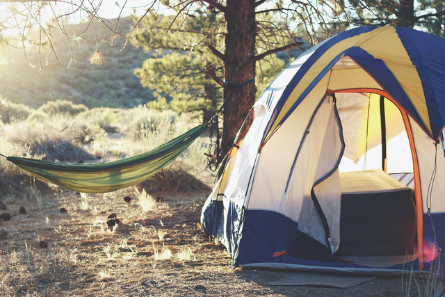 [Tempat Camping di Jember] foto hanya ilustrasi, bukan tempat sebenarnya, unsplash/Laura Puth