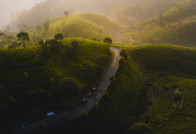 Wisata wayang windu pengalengan. Foto hanyalah ilustrasi, bukan tempat yang sebenarnya. Sumber: Unsplash/Daniel Nainggolan