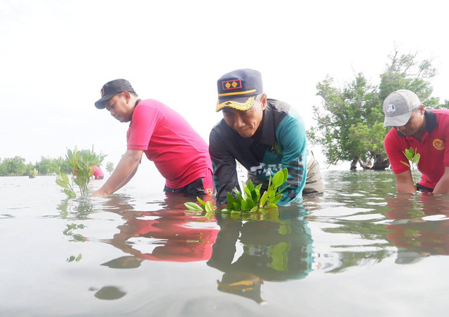 arutan Mamuju bersama Kabinda Sulbar melakukan penanaman Mangrove di Pesisir Pantai di Bulutakkang