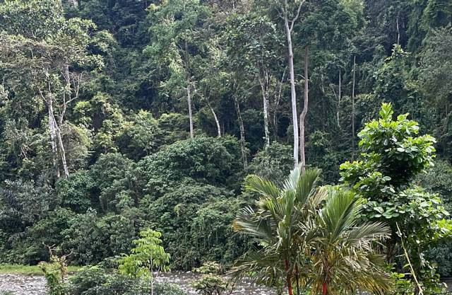 Pemandangan indahnya alam yang terjaga kelestariannya. Foto: Afif Hauzaan Abid. 2 Februari 2024