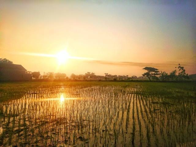 Wisata malam di Madiun. Foto hanyalah ilustrasi, bukan tempat yang sebenarnya. Sumber: Unsplash/Joey F.