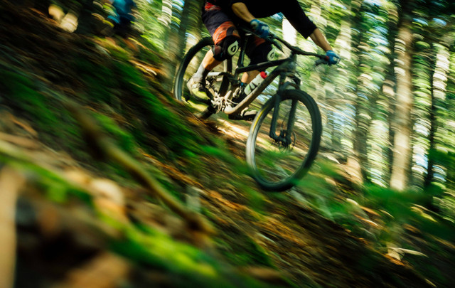 Ilustrasi Perbedaan Sepeda MTB Wanita dan Pria, Unsplash/Tim Foster