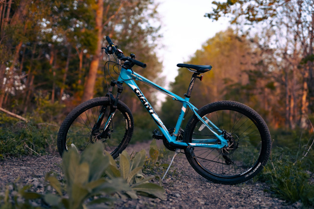 Ilustrasi Perbedaan Sepeda Hybrid dan MTB, Unsplash/Alex Diffor