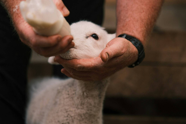 Kampung Batu Malakasari Ecopark. Foto hanya ilustrasi bukan tempat sebenarnya. Sumber foto: Unsplash/Yunan Wang