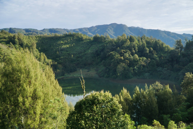 Panorama Ranu Regulo, danau alami di kaki Gunung Semeru. Foto: Shutterstock