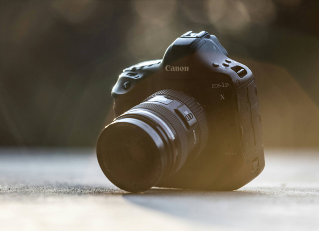 Ilustrasi kamera DSLR Canon untuk pemula. Foto: Unsplash.com