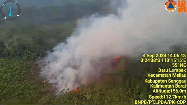 Kebakaran lahan konsesi di Sanggau. Disbunak Kalbar sebut ada 6 perusahaan yang terindikasi melakukan pembakaran di lahan konsesi. Foto: Dok. BPBD Kalbar