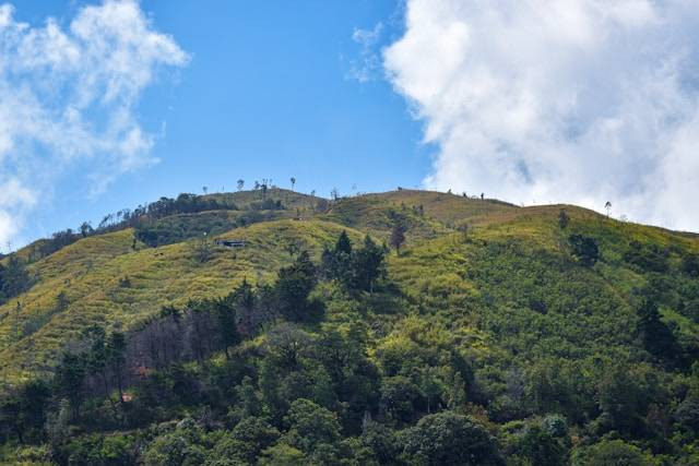 Daya Tarik Bukit Mongkrang Karanganyar. Foto Hanya Ilustrasi Bukan Tempat Sebenarnya. Sumber Foto: Unsplash.com/Raka A. Wicaksono