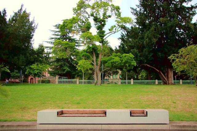 Wates Square Park. Foto hanya ilustrasi, bukan tempat sebenarnya. Sumber: Unsplash/Frank Eiffert