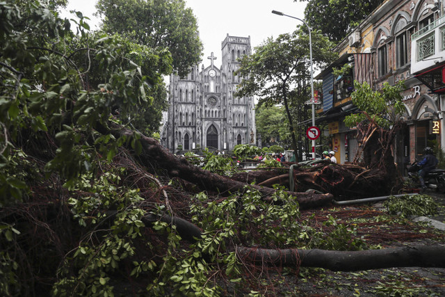 Foto ini menunjukkan pohon-pohon yang tumbang di sebuah jalan di depan Katedral Santo Yoseph setelah Topan Super Yagi menghantam Hanoi, Vietnam, Minggu (8/9/2024). Foto: AFP