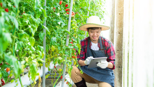 Pengembangan  Bisnis Agroindustri dengan Lean Canvas 