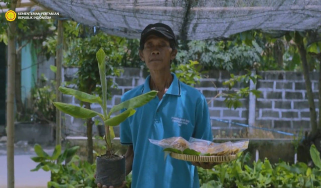 Mbah Lasiyo, 'Profesor Pisang' dari Bantul meninggal dunia. Foto: Kementerian Pertanian