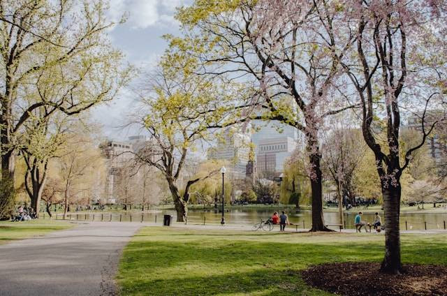 Taman Harmoni Surabaya. Foto Hanya Ilustrasi Bukan Tempat Sebenarnya. Sumber Foto: Unsplash.com/Kelly Sikkema