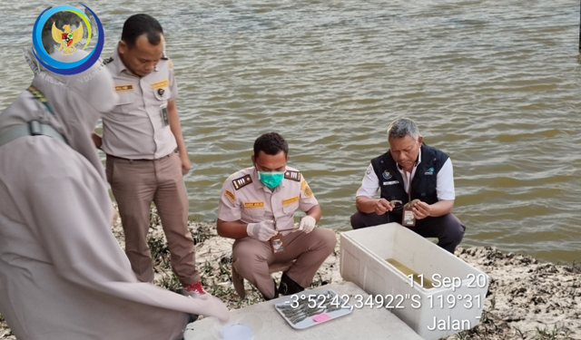 Didampingi Penyuluh Perikanan, Petugas Balai Besar Karantina Hewan, Ikan dan Tumbuhan Makassar melakukan pengecekan kondisi kesehatan udang di tambak milik Ifan ketua Pokdakan Harapan Baru desa Waetuoe kecamatan Lanrisang. (Foto:Dok.pribadi/Kumparan)