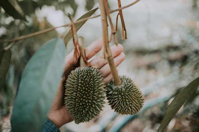 Tempat Wisata di Wagir (Foto hanya ilustrasi, bukan tempat sebenarnya) Sumber: pexels/ HONG SON