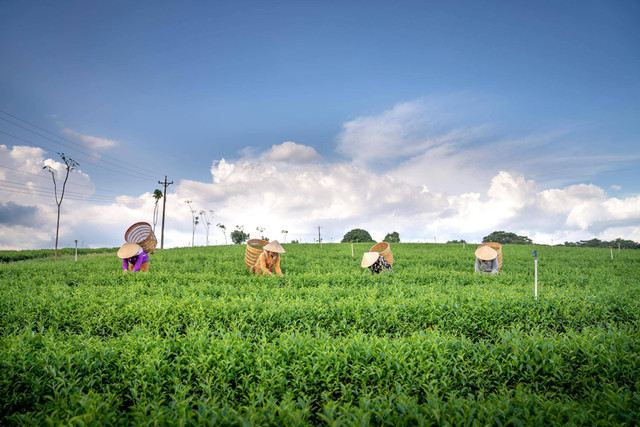 Tempat Wisata di Lawang (Foto hanya ilustrasi, bukan tempat sebenarnya) Sumber: pexels/ Quang Nguyen Vinh