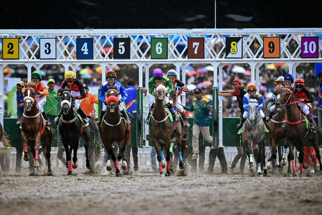 Sejumlah joki beradu cepat dalam perlombaan pacuan kuda kelas C-1.600 M PON XXI Aceh-Sumut 2024 di Arena Pacuan Kuda Belang Bebangka, Kabupaten Aceh Tengah, Aceh, Kamis (12/9/2024). Foto: Arnas Padda/ANTARA FOTO