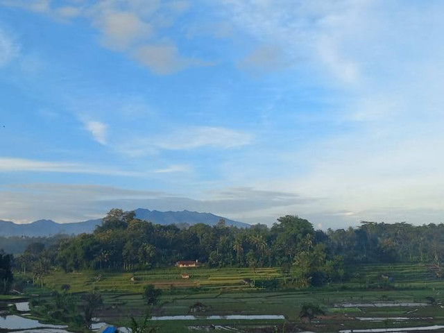 Wisata Jati Gede Sumedang. Foto hanyalah ilustrasi bukan tempat sebenarnya. Sumber: Unsplash/Hanin aqila