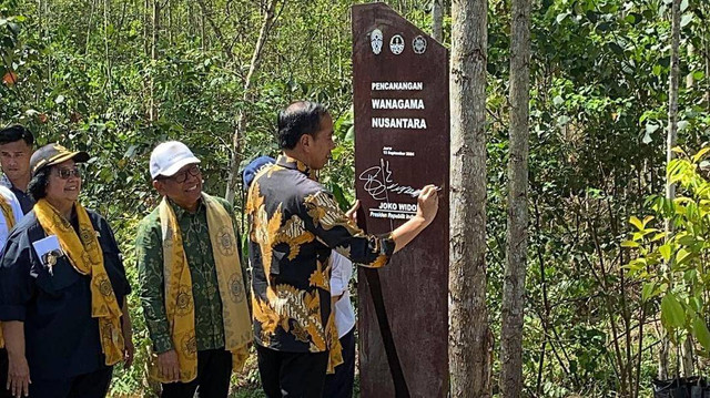 Presiden Jokowi menanam pohon di kawasan IKN. Foto: Zamachsyari/kumparan