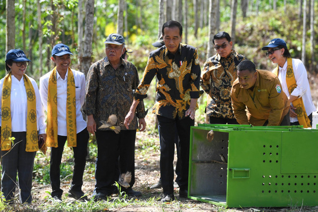 Presiden Joko Widodo didampingi Kepala Staf Kepresidenan Moeldoko dan Menteri PUPR Basuki Hadimuljono melepas liarkan burung saat mencanangkan hutan pendidikan Wanagama Nusantara di Ibu Kota Nusantara (IKN), Kalimantan Timur, Jumat (13/9/2024). Foto: M Risyal Hidayat/ANTARA FOTO