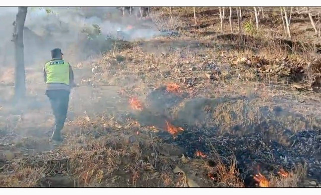 Terjadi Kebakaran Hutan, Polsek Campurdarat Sigap Berupaya Padamkan Api 