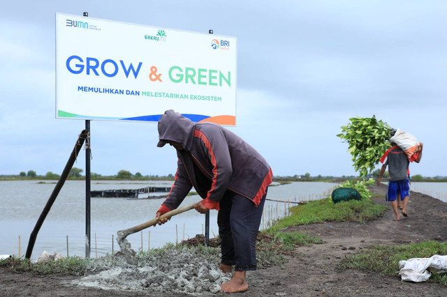 Program BRI berfokus pada keberlanjutan lingkungan untuk mendukung Net Zero Emission pada 2050. Foto: dok. BRI