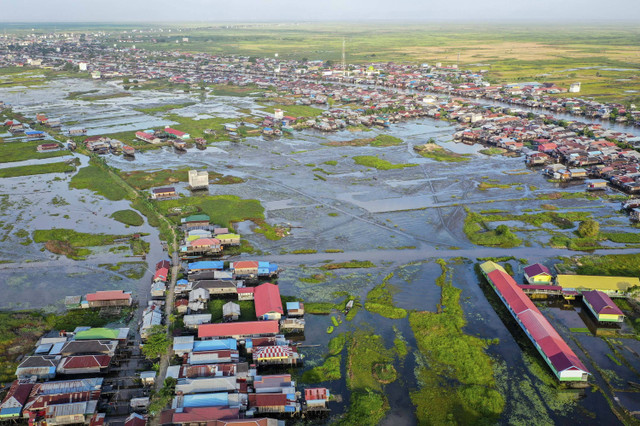 Foto udara aerial lahan rawa di Kalimantan Selatan. Foto: Bayu Pratama S/ANTARA FOTO