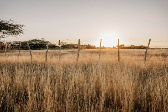 Temoat Wisata di Bekasi Buat Hunting, Foto Hanya Ilustrasi Bukan Tempat Sebenarnya. Sumber Foto: Unsplash.com/Manuel Tavarez Lora