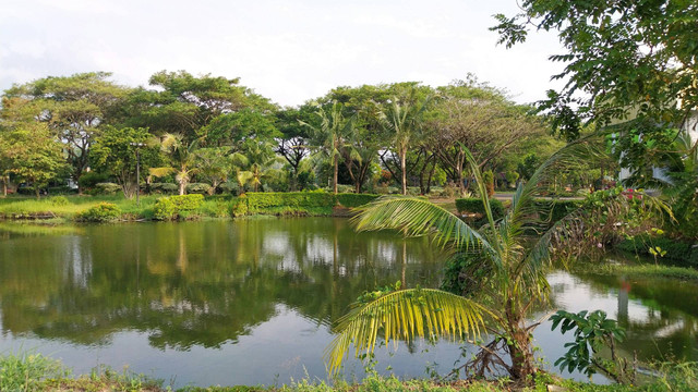 Tempat Wisata di Kuningan Jawa Barat. Foto hanya ilustrasi, bukan tempat sebenarnya. Sumber: Unsplash/Edwin Petrus