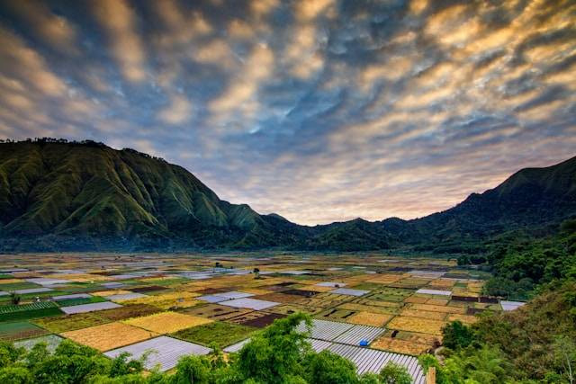 Tempat Wisata di Purwokerto Timur. Foto hanya ilustrasi. Bukan tempat yang sebenarnya. Sumber foto: Unsplash/Koes