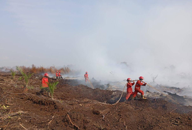 Manggala Agni tengah berjibaku memadamkan api di lahan yang ada di Muba, Foto : Manggala Agni