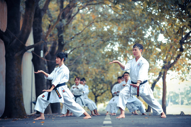 Ilustrasi Tingkatan Sabuk Karate, Foto: Unsplash/Thao LEE