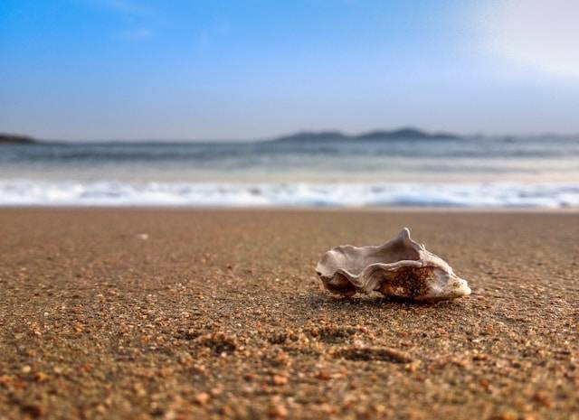 Oleh-oleh Khas Natuna. Foto hanya ilustrasi, bukan gambar sebenarnya. Sumber foto: Unsplash/Xiaokang