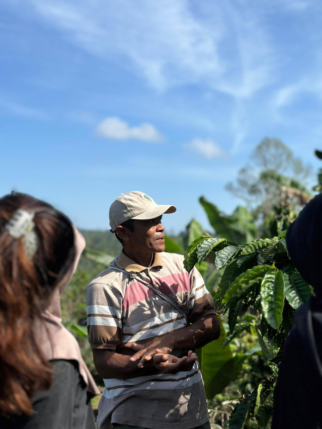 Seorang petani kopi. Dokumentasi: Pribadi