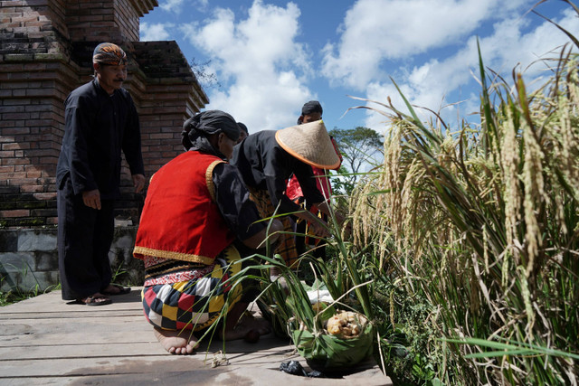 Tradisi wiwitan. Foto: Shutterstock