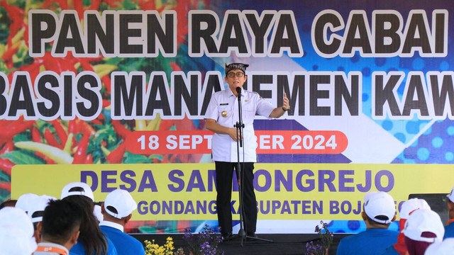 Pj Bupati Bojonegoro Adriyanto, saat beri sambutan di sela-sela Panen Raya Cabai Rawit Berbasis Manajemen Kawasan, di Desa Sambongrejo, Kecamatan Gondang, Kabupaten Bojonegoro. Rabu (18/09/2024). (Aset: Istimewa)