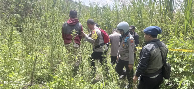 Polisi mendatangi lahan ganja di kawasan Gunung Bromo. Foto: Dok. Mili.id