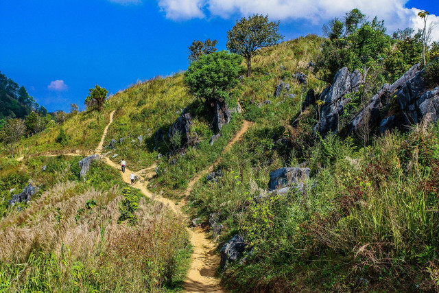 Ilustrasi gunung Doi Inthanon terletak di negara mana. Foto: Pexels.com/icon0 com