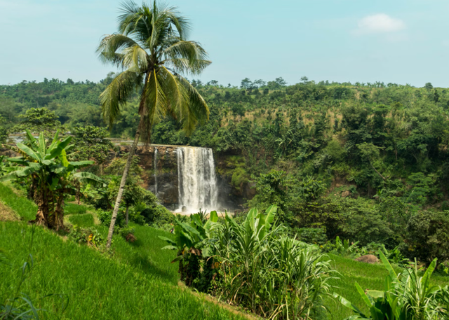 tempat wisata di nyalindung sukabumi. Foto hanyalah ilustrasi, bukan tempat yang sebenarnya. Sumber: Unsplash/Fadhel Rabbani