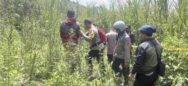 Polisi mendatangi lahan ganja di kawasan Gunung Bromo. Foto: Dok. Mili.id